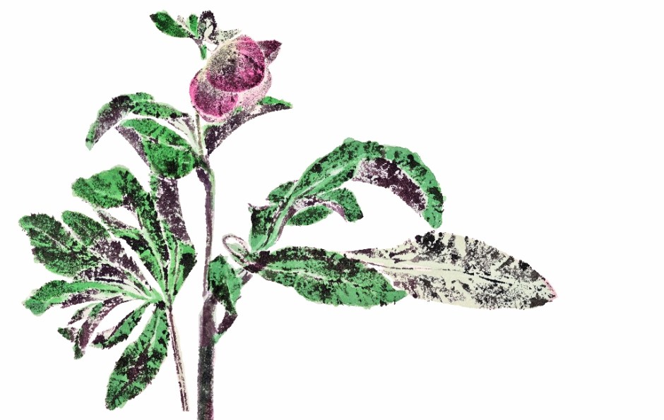 久保田絢子≪christmasrose≫2013 (1024x649)