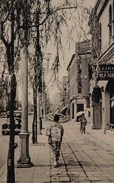 【20】堺の銀細工職人が植えた柳。江戸時代、江戸前島という砂州を埋め立て町人地として整備が行われた。1612年（慶長17年）に駿府にあった銀座役所が移転し、1800年（寛政12年）蛎殻町に再び移転するまで、銀貨の鋳造が行われた。「銀座」の由来である。その象徴である「柳」は、室町以降、貨幣制度を生んだ商工都市、堺から移住した銀細工職人が、故郷を懐かしんで移植したのが起源とされる。1874年（明治7年）日本初の街路樹として、最初は桜・松・楓が銀座通りに植樹された。3年後、埋立地だったため根腐れを起こし、湿地に生育する柳に植え替えられた。1921年（大正10年）には車道の拡幅にともない銀杏へと植え替えられたものの、銀座の柳に対する思いは強く、1929年（昭和4年）に発表された西條八十作詞『東京行進曲』でも銀座の柳をなつかしむ歌詞が登場する。1932年（昭和7年）朝日新聞社の寄贈で銀座通りに柳が復活し、柳まつりが開催された。その後『東京ラプソディ』『東京音頭』で歌われるなど、柳は銀座のシンボルとして定着していった。戦後、銀座の柳は1968年（昭和43年）撤去され、歩道が拡張された【20】1935年（昭和10年）頃・（東京名勝）情緒をそそる銀座の柳